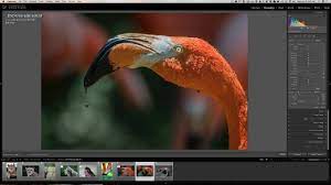 I use lightroom a lot and i think that the auto mask option is a life savior. Lightroom Quick Tips Episode 115 Quick Easy Zoom Youtube