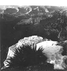 Image result for Nile Green 1949 Nash