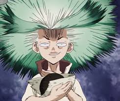 Pin By Molly Bryant On Dr Stone Anime Stone World Stone