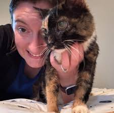 Louisville Metro Animal...