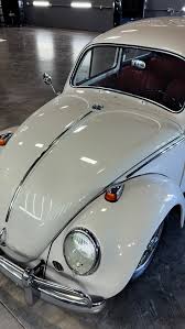 Image result for Pearl White 1950 Beetle