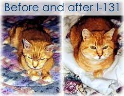 About Hyperthyroidism Hyperthyroidism Thyroid Thyroid Disorders