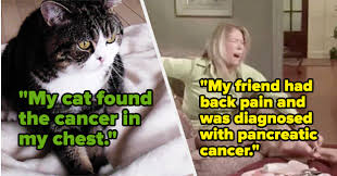 Cancer gives most people no symptoms or signs that exclusively indicate the disease. Cancer Survivors Share The First Warning Signs