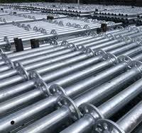 Ringlock Scaffolding Double Ledgers: Best Suppliers 2025