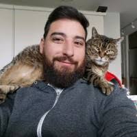 300+ "Domenic" profiles