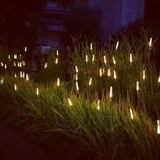 Da Vinci Lifestyle Landscape Design Landscape Lighting Modern Landscaping