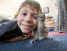 It's amazing how small an emu starts out before they grow bigger than a  human 😂 enjoying our winter stuck indoors with all these soon-to-be big  friends #emu #hatching