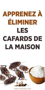 Apprenez A Eliminer Les Cafards De La Maison En 2020 Astuces Contre Les Cafards Cafards Trucs Et Astuces Maison