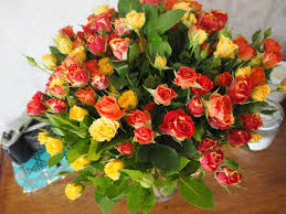 We did not find results for: Prestige Flowers Review Spray Rose Bouquet Helpless Whilst Drying