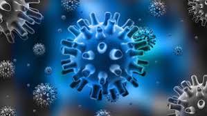 Genital herpes is a sexually transmitted disease caused by the herpes simplex virus (hsv), and causes herpetic sores on the genitals. Herpes Simplex Virus Ursachen Symptome Therapie Und Behandlung Um Was Handelt Es Sich Bei Herpes An Der Lippe Und Herpes Genitalis