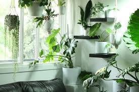 However, the amount of growth attributable to births is down compared to data collected. Inside Jesse Gleeson S Apartment That Is Full Of Plants Avenue Calgary