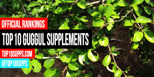 best guggul supplements top 10 brands