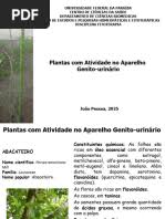 Image result for Agelanthus falcifolius