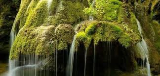 Sărbătorile de iarnă, în special crăciunul şi anul nou prilejuiesc desfăşurarea unor obiceiuri. Imagini Cu Cascada Bigar Iarna Opinia Timisoarei Stiri Din