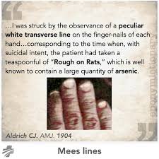 Image result for Mees Line