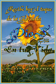 Imagenes Gif Cristianas Con Reflexiones Y Frases Saludos Dias De La Semana Oraciones Feliz Jueves Frases Mensajes Hermosos Saludos De Buenas Noches Desgarga gratis los mejores gifs animados de buenos dias ✅. imagenes gif cristianas con reflexiones