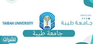 مطلوب منسق مشروع بالسفارة الالمانية لدي مبادرة القاهرة. ØªØ®ØµØµØ§Øª Ø¬Ø§Ù…Ø¹Ø© Ø·ÙŠØ¨Ø© ÙˆØ§Ù„Ù†Ø³Ø¨ Ø§Ù„Ù…Ø·Ù„ÙˆØ¨Ø© Ù„Ù„Ù‚Ø¨ÙˆÙ„ Ù†Ø´Ø±Ø§Øª