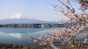 Fuji Five Lakes Travel Lake Kawaguchiko