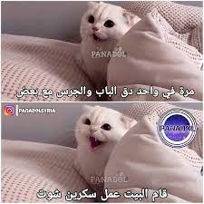 pin on المهووسون