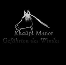 Samir Aziz 的个人主页