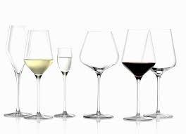 Image result for Stolzia cupuligera