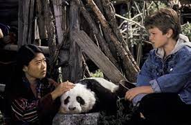 The great panda adventure канала kaedencraft. The Amazing Panda Adventure Film Tv Tropes