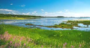 Vergleichen sie 47 preise von 39 anbietern in norrbotten, schweden. Norrbotten Region In Schweden Tipps Infos 2020 Travelguide De