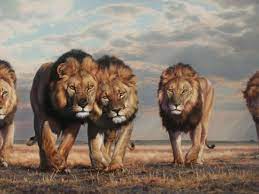 Menu & reservations make reservations. Call Of Africa S Native Visions Gallery Naples Marco Island Everglades