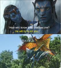 However, even as sully was being heralded by the public and the media for his unprecedented feat of aviation skill, an investigation was unfolding that threatened to destroy his. In Avatar Jake Sully Is Able To Bond With Toruk Because It Tried To Kill Him Earlier In The Film Moviedetails