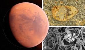 Nasa shares eight stunning images from the surface of the red planet to mark the 8th anniversary of the landing of its curiosity rover. Life On Mars Shock Nasa 2020 Rover Should Be Drilling Here To Find Alien Microbes Science News Express Co Uk