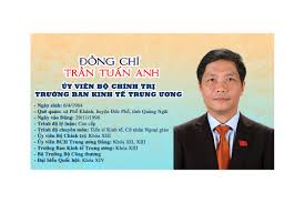 Tháng 10 năm 2015, bộ chính trị điều động, phân công bà võ thị ánh xuân giữ chức bí thư tỉnh. Infographic Tiá»ƒu Sá»­ TrÆ°á»Ÿng Ban Kinh Táº¿ Trung Æ°Æ¡ng Tráº§n Tuáº¥n Anh Ä'áº£ng Cá»™ng Sáº£n Viá»‡t Nam Ä'áº¡i Há»™i Xiii