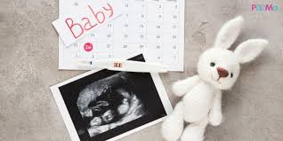 Tahu tak sebenarnya ibu mengandung boleh kira usia kandungan sendiri dengan menggunakan kalkulator online (pregnancy calculator)? Tarikh Hari Pertama Haid Terakhir Lmp 3 Bulan 7 Hari Ini Kaedah Kira Due Date Bersalin Pa Ma