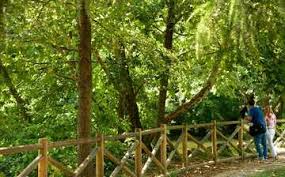 After their establishment, the gardens. Visit Indro Montanelli Public Gardens In Milan Expedia