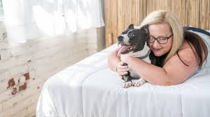 Women`s Best Friend: Hunde, die treuen Begleiter | BRIGITTE.de