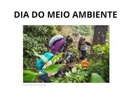 ← atividades para fazer em casa. Plano De Aula 1Âº Ano Historia Dia Do Meio Ambiente 05 06
