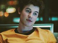 200 ideas de Shawn mendes