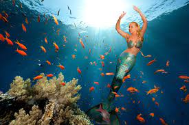 We did not find results for: What It S Like To Make A Living As A Mermaid