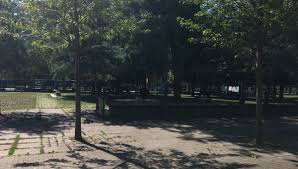 Planter, pour la naissance d'un enfant, un arbre qui l'accompagnera des années ? La Maire De Poitiers Lance L Operation Une Naissance Un Arbre Pour Votre Enfant