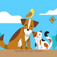 Dogs and cats may be the most popular pets to care for, but not everyone makes that choice. Pawsitive Pet Care Services Home Facebook