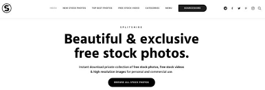 Choose from a wide selection of royalty free video clips to meet your needs. 19 Best Free Stock Video Websites Of 2021 Vaslou