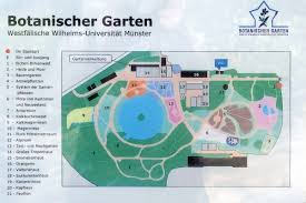 Der botanische garten begrüsst sie wieder ab 1. Botanischer Garten Munster Wikipedia