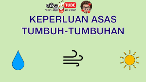 Sains tahun 2 keperluan asas tumbesaran tumbuh tumbuhan. Sains Tahun 2 Keperluan Asas Tumbuh Tumbuhan Cikgootube Cikguzoul Youtube
