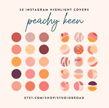 Instagram Highlight Covers Peachy Keen Peach Tone Instagram Etsy In 2021 Color Palette Design Peach Color Palettes Aesthetic Colors
