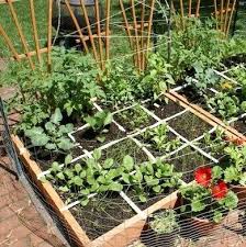 Duckyards / getty images the square foot gardening method was invented by mel bartholomew, who wrote the book square foot gardening in 1981. Square Foot Gardening 9 Pro Tips Bob Vila