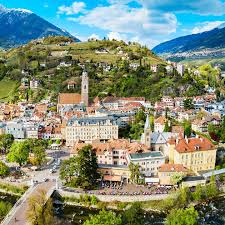 Image result for Wiesneria