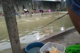 Brain out kucing sedang memancing. Meracik Jajanan Jadi Umpan Andalan Memancing Ikan Antara News Sumatera Selatan