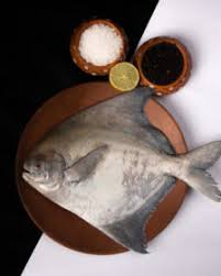 Select from distinct halfmoon betta fish at alibaba.com to enhance the aesthetic appearance of your interior decor. White Snapper Korkai Aaa Fresh Fish