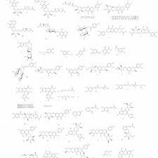 Image result for Menisorus pauciflorus