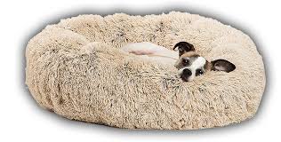 If your dog is huge, please check the dimensions before buying. The Calming Bed Anti Anxiety Dog Bed