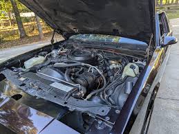 Image result for French Blue 1983 Hussmann